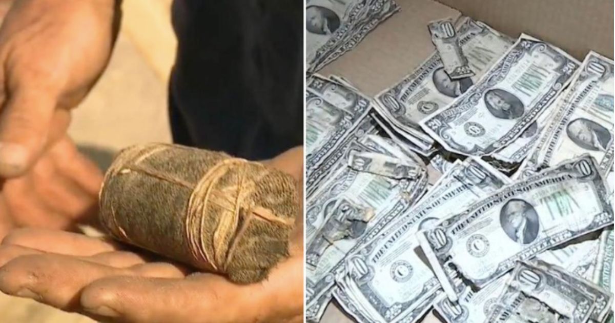 New Jersey Man finds money from 1934 under his porch.