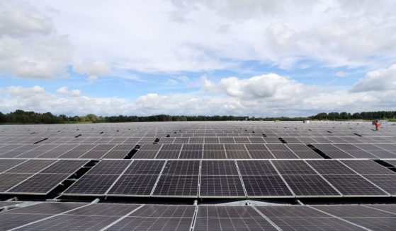 Rows of floating solar panels absorb energy from the sun at Uivermeertjes solar park in the Netherlands on July 11.