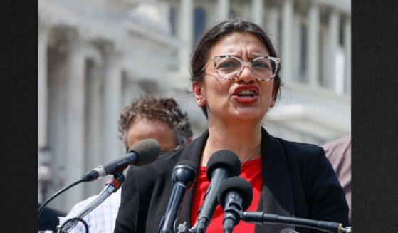 Michigan Democrat Rep. Rashida Tlaib ignored her peers' warninings against admitting she approves of teaching critical race theory in schools.