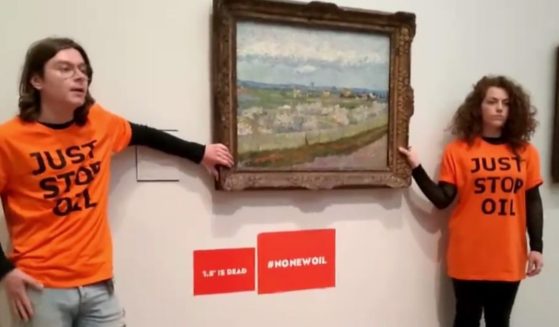 Two climate change activists from the Just Stop Oil organization glue their hands to a Van Gogh painting