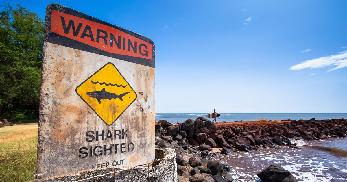 The above stock image is of a shark warning sign.