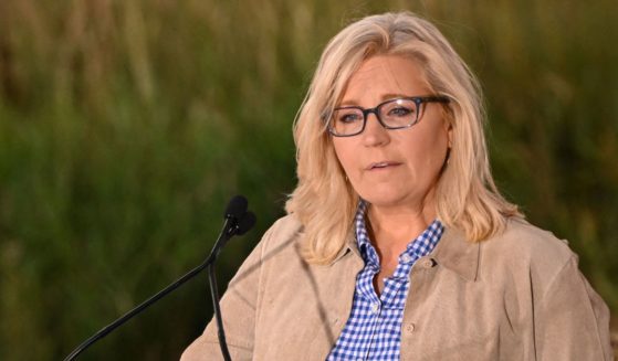 Rep. Liz Cheney of Wyoming lost the Wyoming GOP primary on Tuesday.