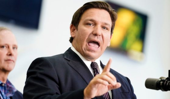 Florida Gov. Ron DeSantis speaks at a news conference on Nov. 18, 2021, after singing a new bill into law. (Chris O'Meara / AP)