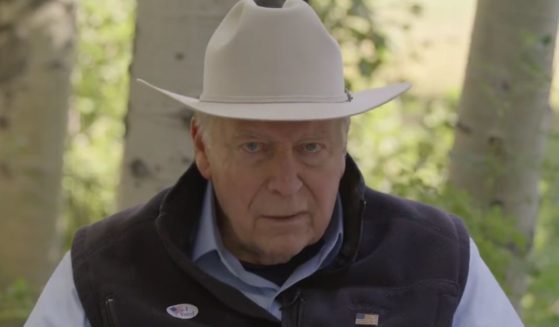 Former Vice President Dick Cheney appeared in an ad endorsing his daughter Liz.