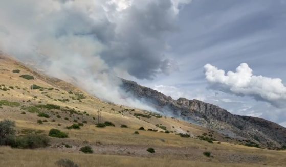 The fire had burned about 60 acres by Tuesday morning.