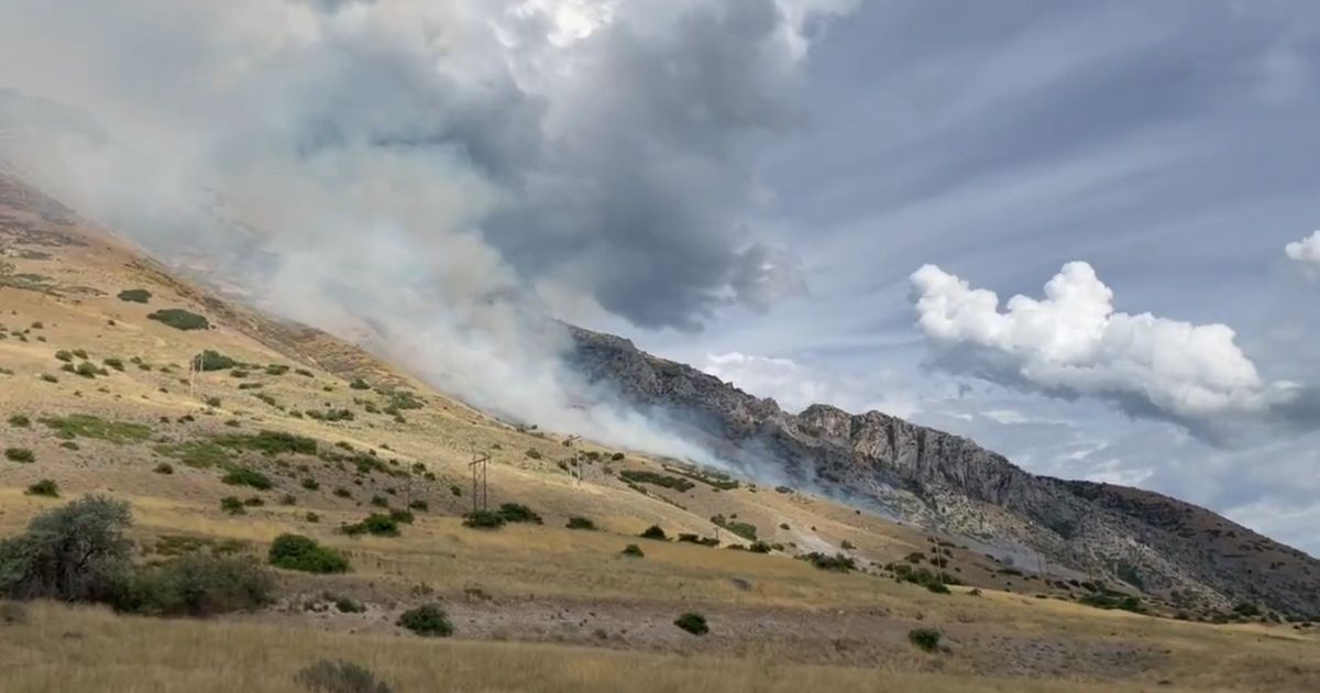 The fire had burned about 60 acres by Tuesday morning.