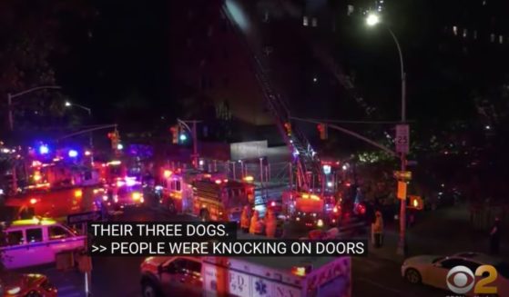 A 5-year-old girl and a 36-year-old woman were killed in a blaze in New York City on Wednesday.