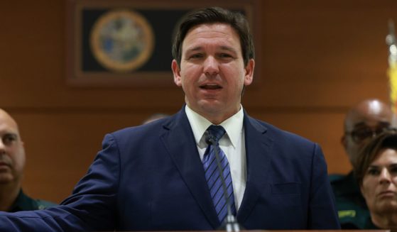 Florida Gov. Ron DeSantis is pictured in a file photo from Aug. 18.