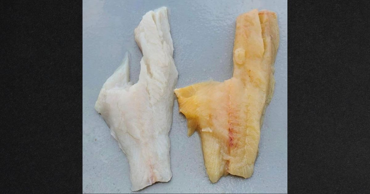 Both of the bass filets came from fish in the same area, according to the report.