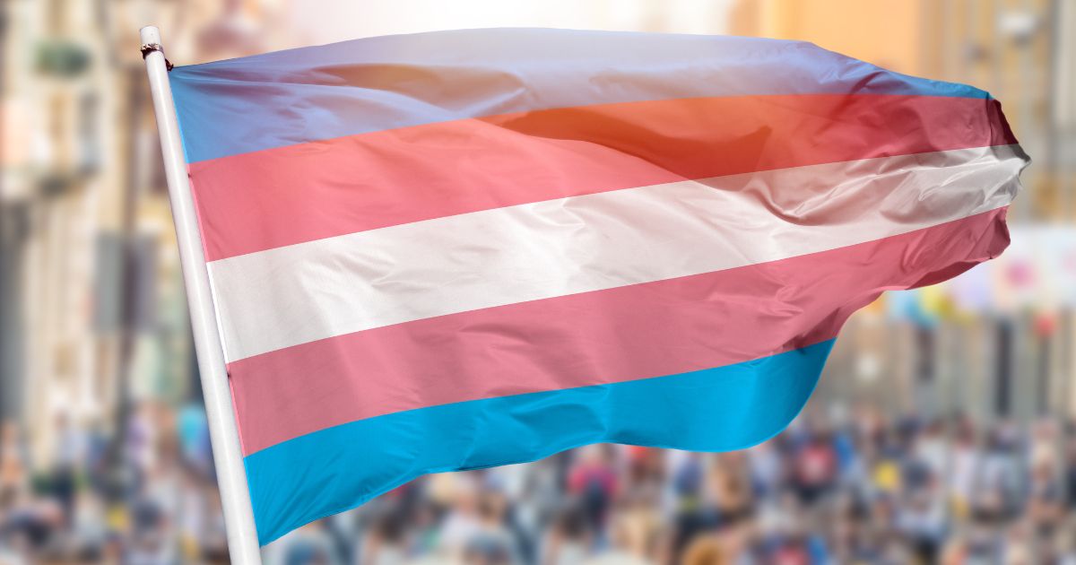 A transgender flag waves above a crowd in this stock image.
