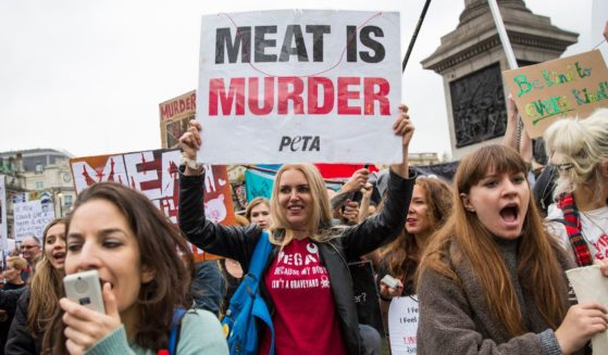 Protesters carry banners during an animal rights march on Oct. 29, 2016, in London.