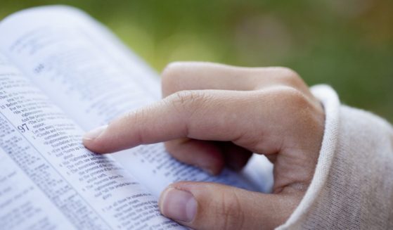 A woman reads the Bible in the above stock image.