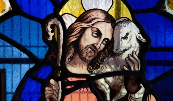 Jesus holds a lamb in this stock image.
