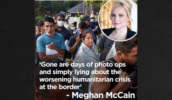 In an op-ed piece for The Daily Mail, Meghan McCain cheered Ron DeSantis for transporting illegal immigrants to the doorsteps of wealthy liberals.