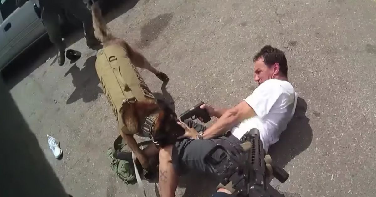 Punk Points Pistol at Police Dog's Head, But K-9's Handler Already Has a Shot Lined Up