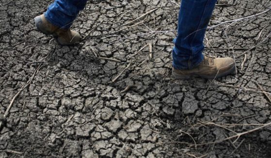 Fourth-generation rice farmer Josh Sheppard walks across the dried-up ditch at his rice farm in Richvale, California, on May 1, 2014.