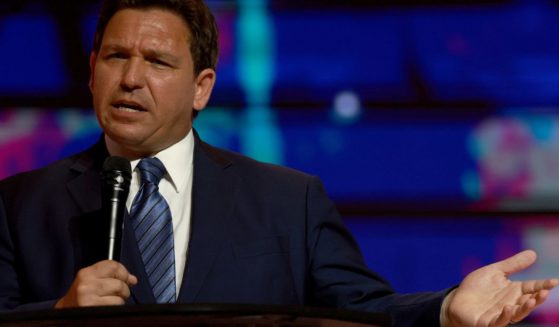 Florida GOP Gov. Ron DeSantis speaks at the Turning Point USA Student Action Summit in Tampa, Florida, on July 22.