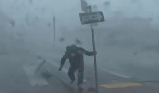 The Weather Channel's Jim Cantore grabs a traffic sign to help stay upright while filming footage of Hurricane Ian.
