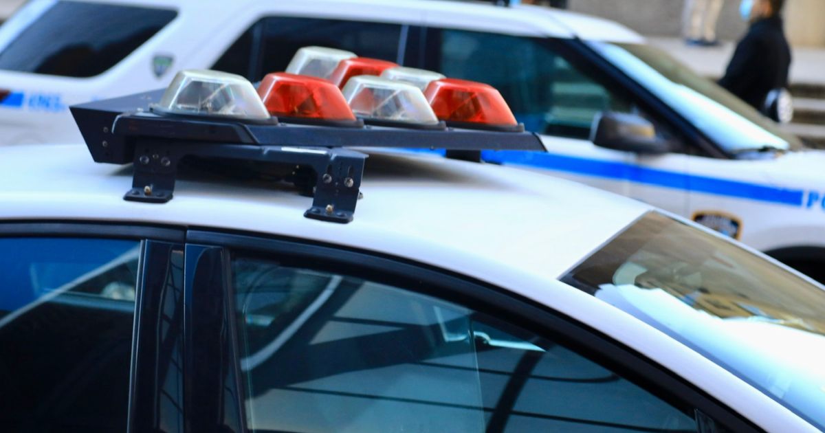 Police cars are seen in the above stock image.