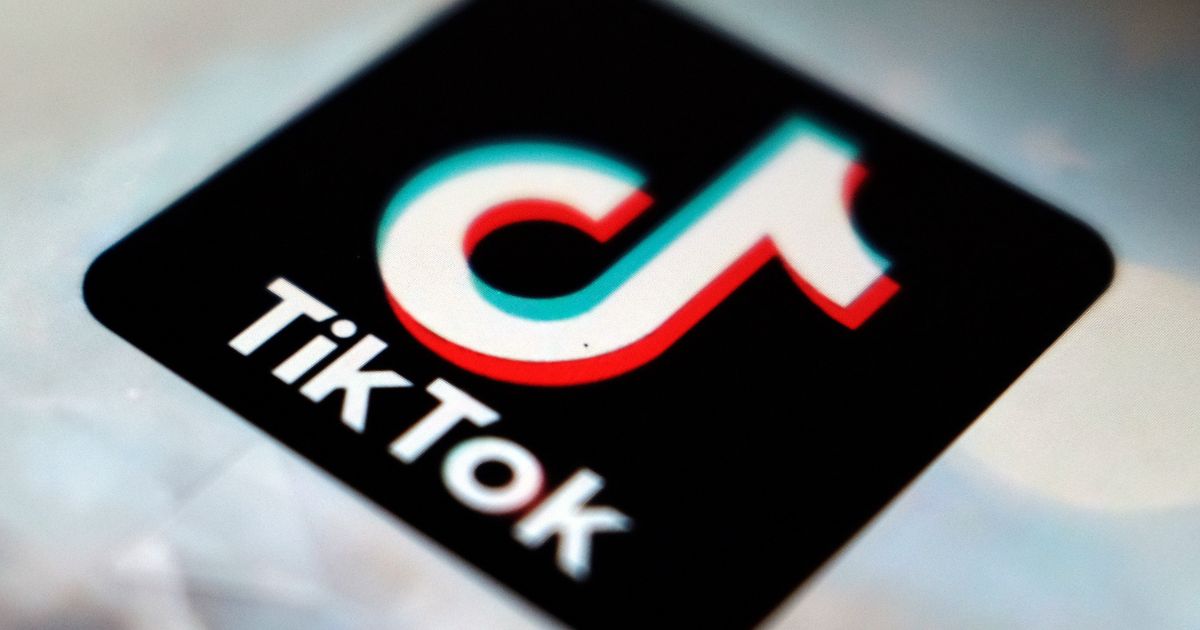 The above image is of the TikTok logo.