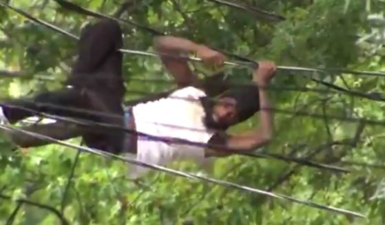 A man tries to avoid police by climbing on electric wires.
