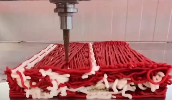 Redefine Meat is 3D printing plant-based meat for distribution in Europe.