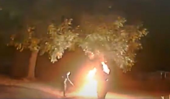 A man's gas-filled backpack burst into flames when an Arkansas state trooper used a taser to stop him.