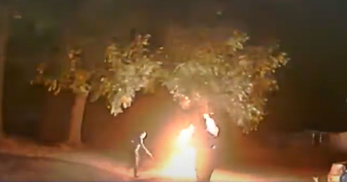 Video: Man Learns Brutal Lesson When He Catches on Fire After Cops Tase Him