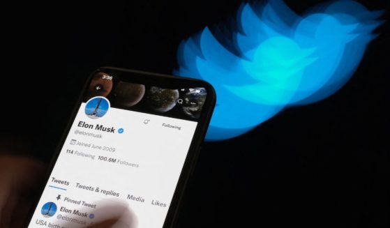 Elon Musk's Twitter page is displayed with the Twitter logo in the background in this illustrated photo.