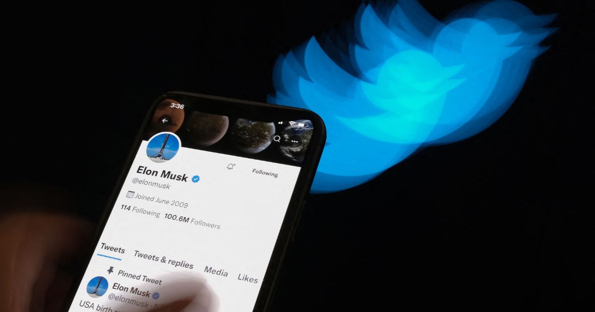 Elon Musk's Twitter page is displayed with the Twitter logo in the background in this illustrated photo.