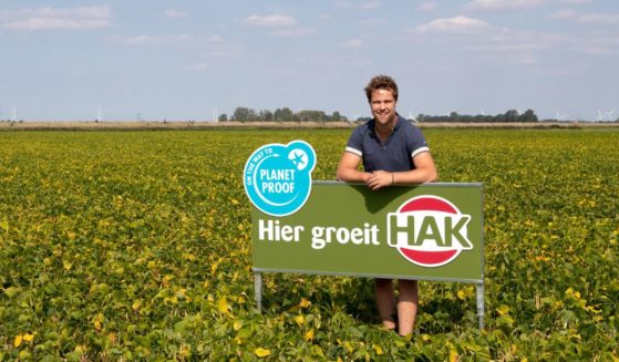 A farm grows kidney beans for HAK, one of the largest vegetable suppliers in Northern Europe.