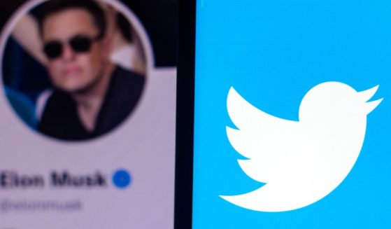 Elon Musk's Twitter profile and the Twitter logo are seen in this stock image.