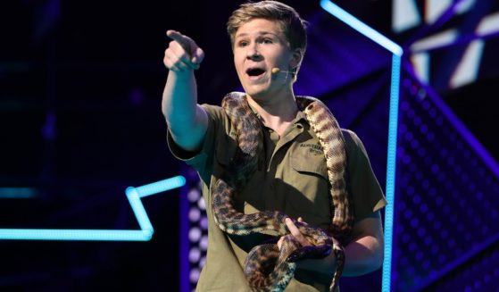 Robert Irwin, son of Steve Irwin the "Crocodile Hunter," speaks during the 33rd Annual ARIA Awards 2019 in Sydney, Australia, on Nov. 27, 2019.