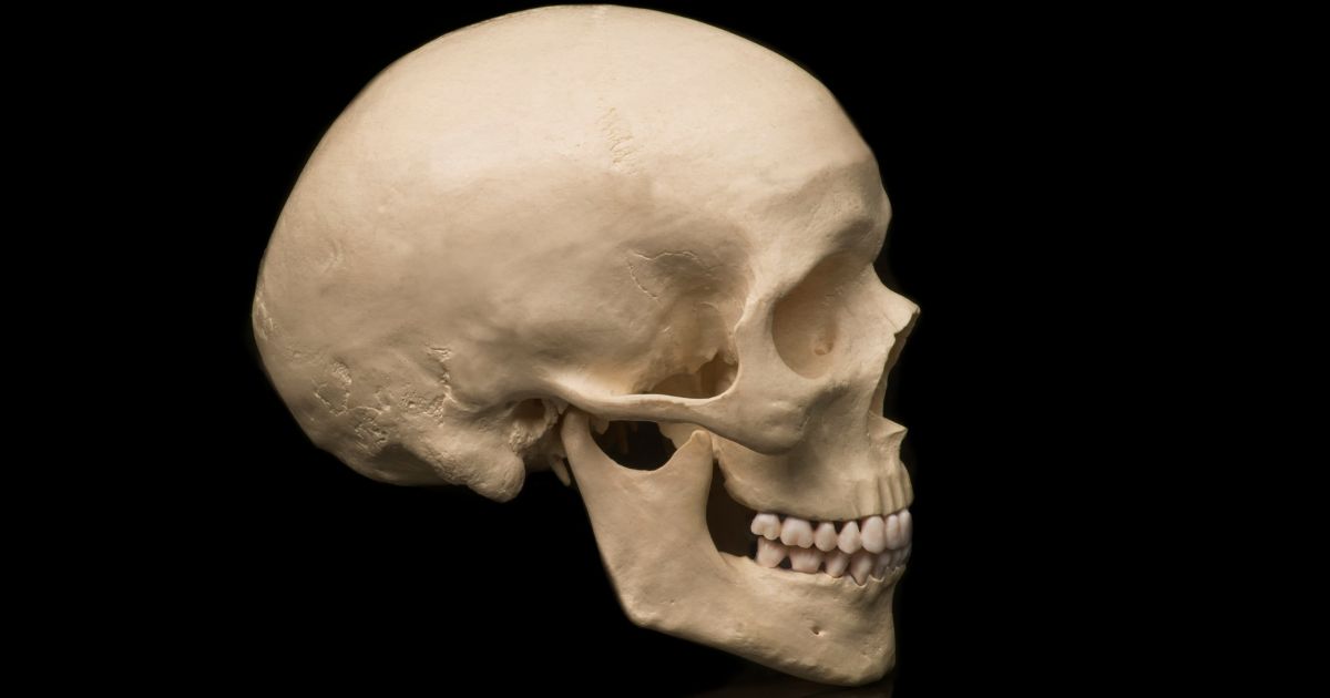 This is a stock photo of a human skull, but in the mountains of Taiwan, the discovery of 6,000-year-old bones -- a skull and a femur -- could prove that a local legend was fact-based.