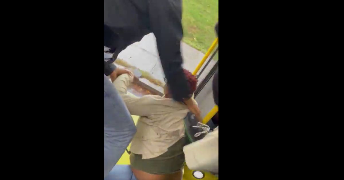 Harrowing Moment: Mob of Youths Beat and Throw Woman From D.C. Bus, Driver Didn’t Even Stop