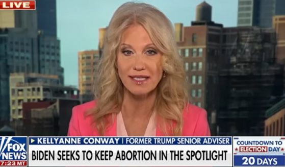 Pollster and former Trump campaign manager Kellyanne Conway appears on Fox News "America's Newsroom" on Wednesday.