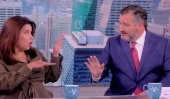 "The View" co-host Ana Navarro clashes with Texas Sen. Ted Cruz on Monday on the ABC program.