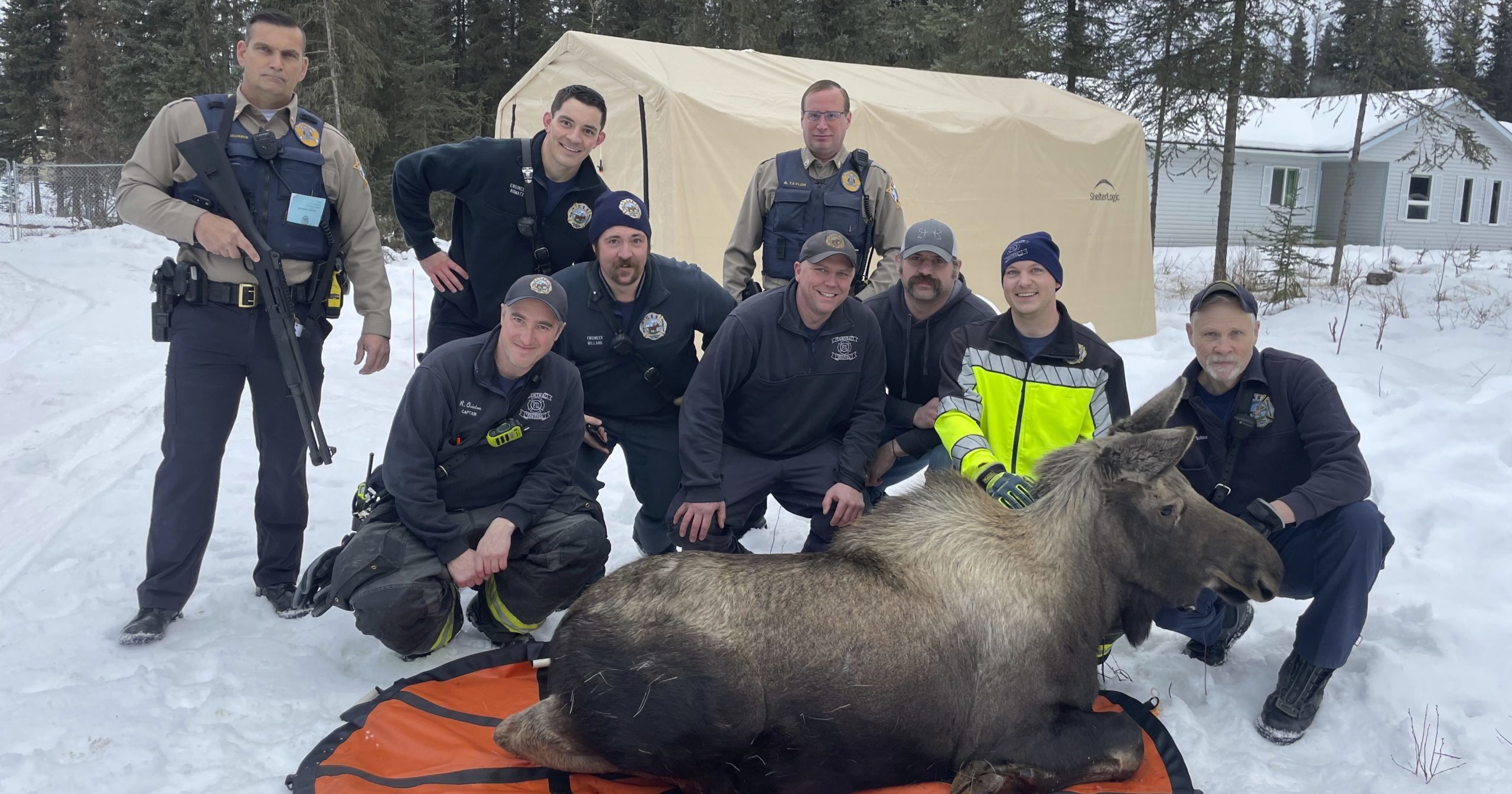 In this image provided by the Central Emergency Services on the Kenai Peninsula, firefighters and personnel from the Alaska Wildlife Troopers and Alaska Department of Fish and Game pose with the moose they helped rescue after it had fallen through a window well at a home in Soldotna, Alaska, on Sunday.