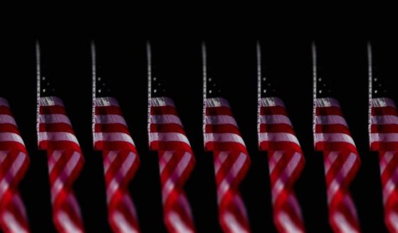 American flags are seen in this stock image.