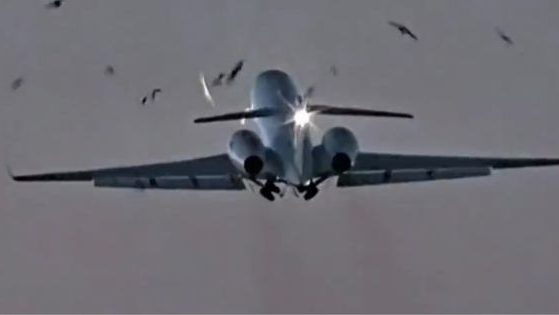 On Monday, a military plane carrying Gen. Daniel Hokanson, the chief of the National Guard, took off in Chicago but was forced to return after running into a flock of birds.