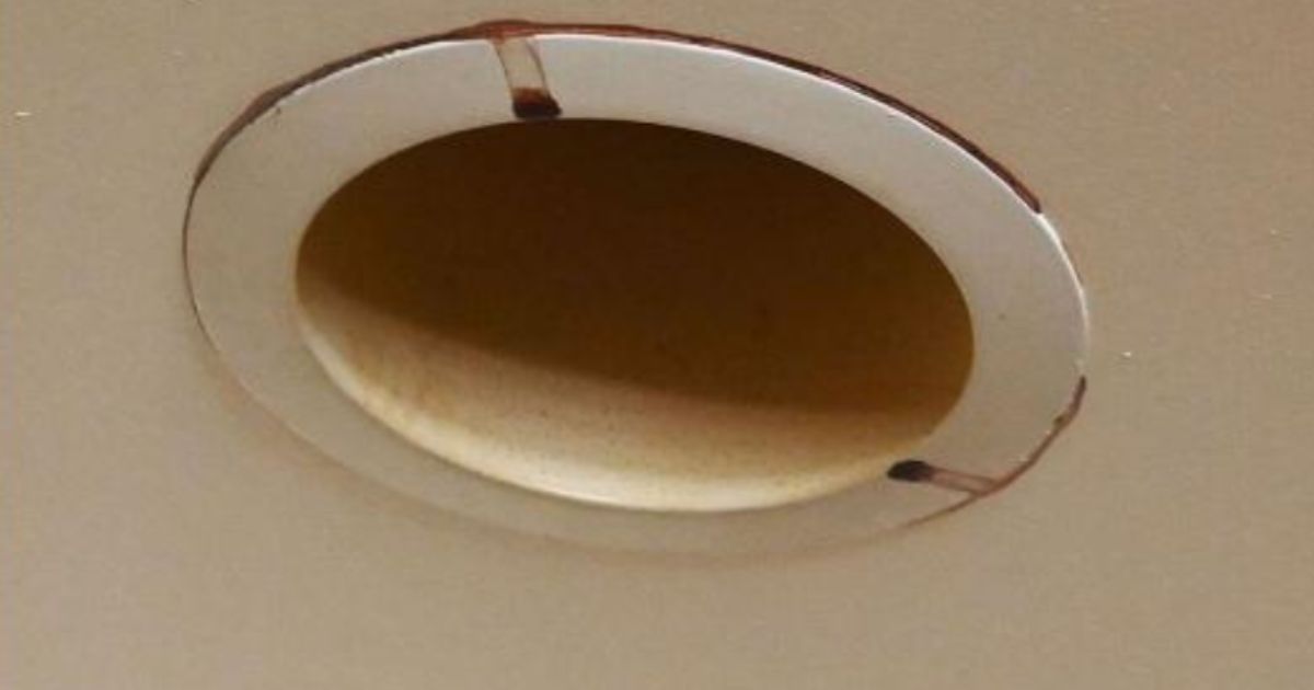 Dried blood crusts around a light fixture in a Harlem apartment.