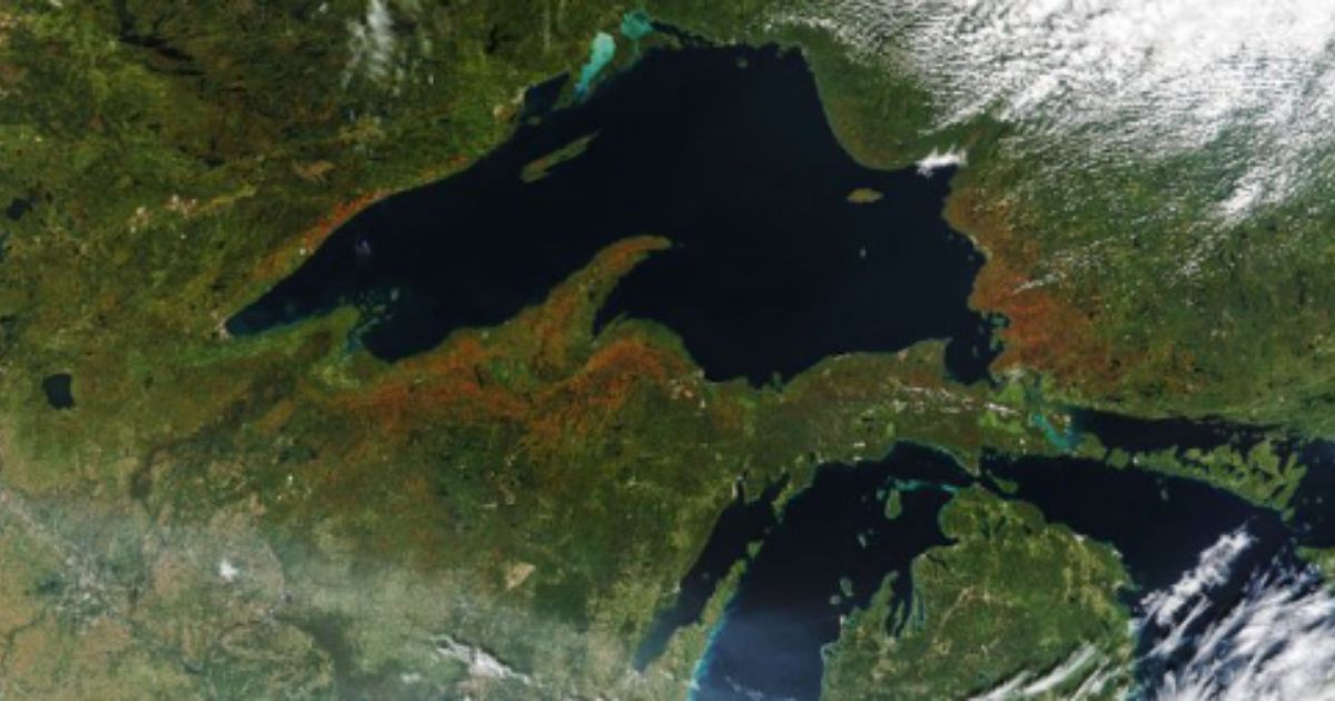 On Oct. 1, 2020, a photo of fall foliage in North America - taken from space - was released. The bright leaves can be seen from the cosmos, providing a new view of autumn.