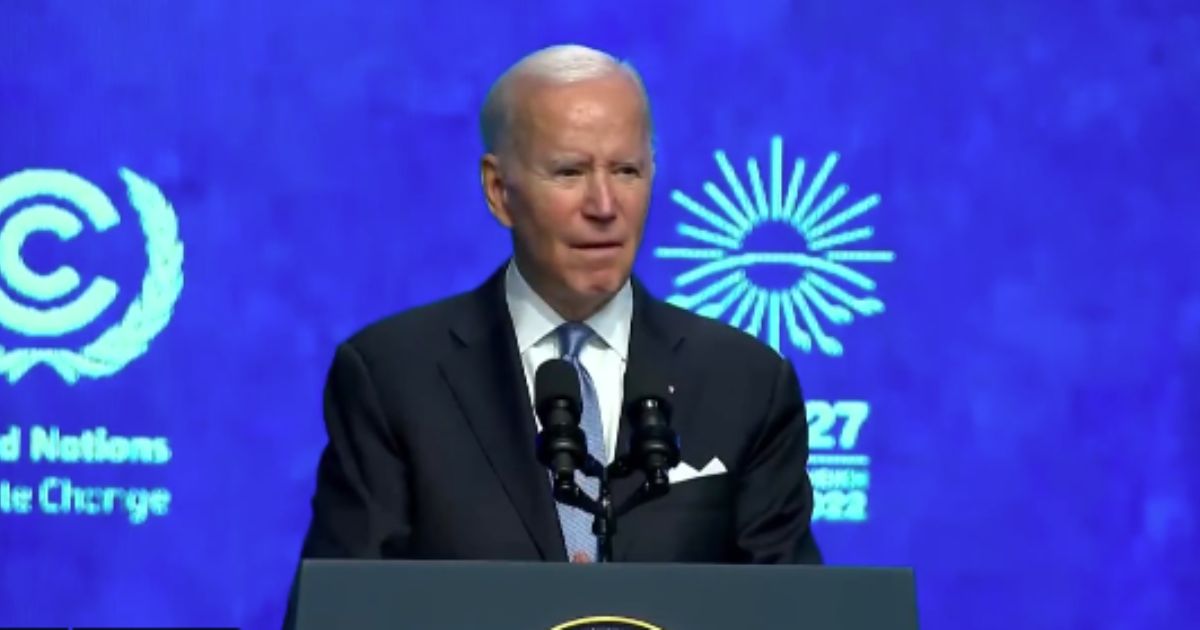 A strange howling noise interrupted President Joe Biden's speech at the United Nations climate conference in Egypt on Friday.