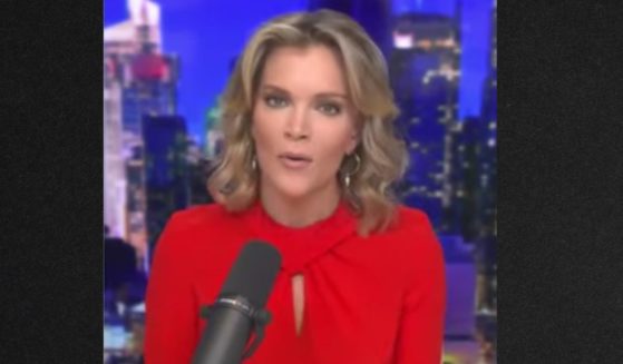 "There’s something going on here that they're not telling us. I just don’t know what it is," Megyn Kelly said on her show Monday.
