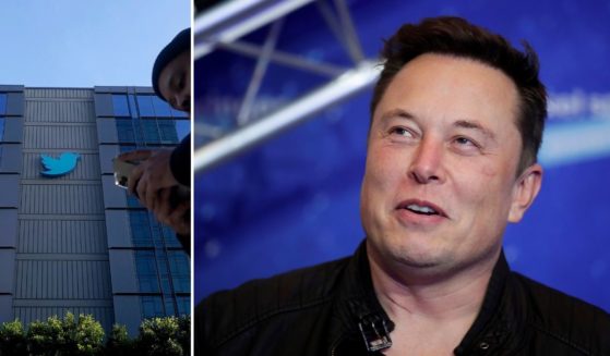 Twitter's blue bird and Elon Musk
