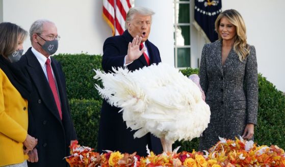 Then-President Donald Trump pardons Thanksgiving turkey "Corn" as his wife, Melania Trump, watches in the rose Garden of the White House in Washington, D.C., on Nov. 24, 2020.
