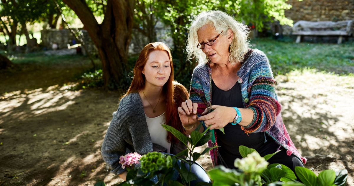The above stock image is of a senior woman and a young woman examining flowers in a garden.