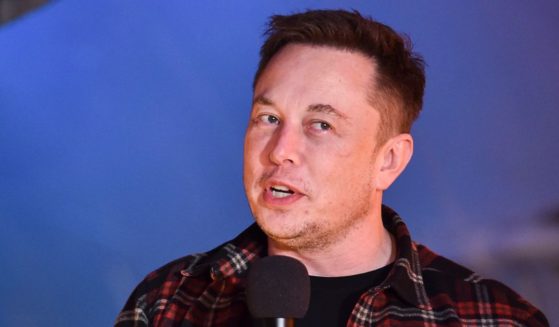 Twitter CEO Elon Musk had a quick comeback for a Democratic legislator's accusations of increased "hate" on the platform.