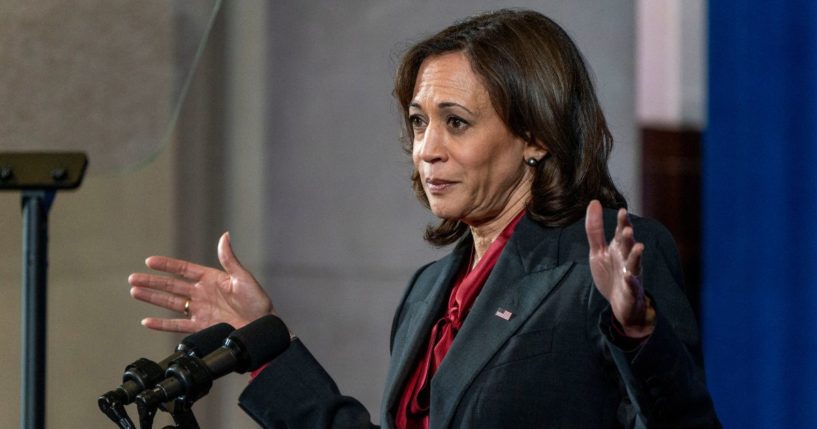 Vice President Kamala Harris speaks at the Tribal Summit, Wednesday. She was later spotted speaking before a shadowy group of left-leaning millionaires and billionaires.