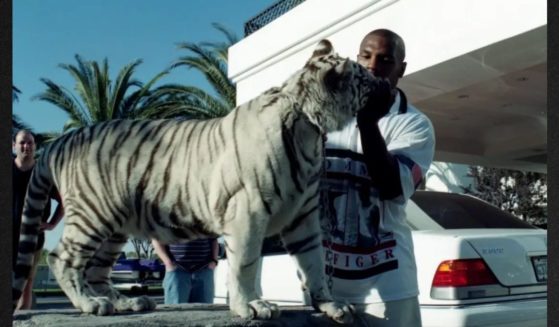 An incident with a trespasser had Mike Tyson re-thinking his views on trying to domesticate tigers.